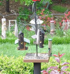 bird-feeders